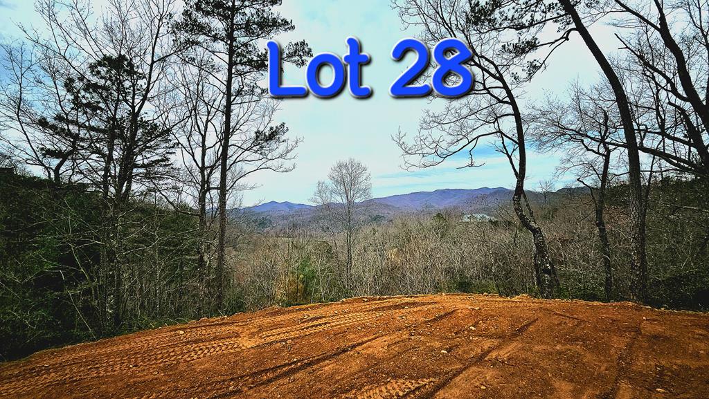 LOT 28LOT 28  - clear addl trees at time of build 