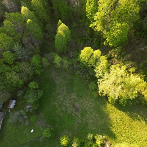 Front pasture drone view 